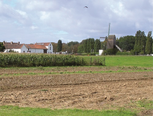 08b Luizenmolen x