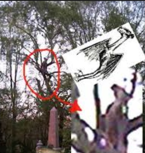 /115/Mysteries/3.jpg