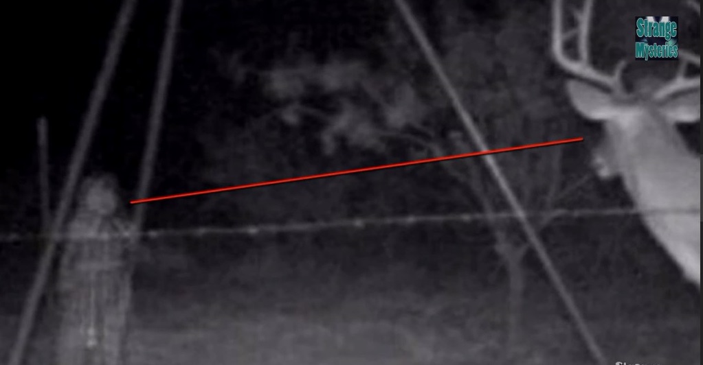 /115/Mysteries/6.jpg