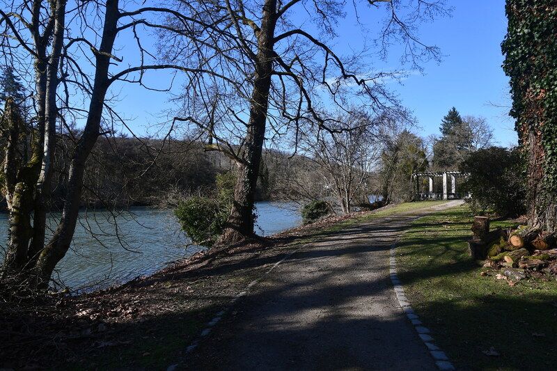 Een wandelpad langs het water, met kale bomen en een bankje in de zon.
