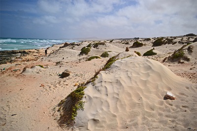 BOA_1STRAND