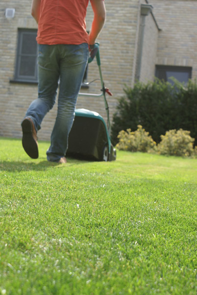Als het gras zo’n 10 cm heeft bereikt kan je het voor de eerste keer maaien. Laat geen gemaaid gras op het gazon liggen.