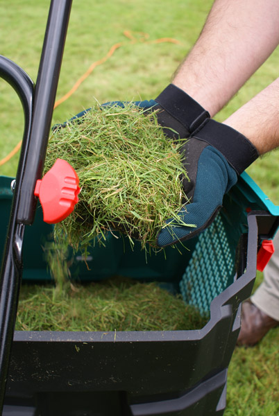Het begint met de juiste keuze van graszaad. De meeste verpakkingen bevatten verschillende graszaadsoorten die allemaal een andere behoefte hebben.