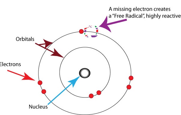 Free-radicals-oxygen_1