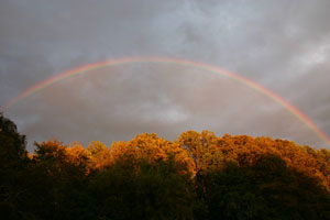 /98/Welzijn/Regenboog.jpg