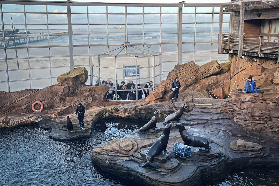 Seniorennet_Ontmoeting met zeedieren.jpg