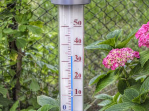 /82/Welzijn/Thermometer.jpg
