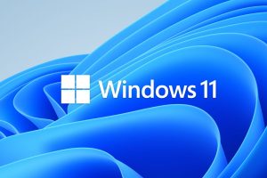 Windows 11 screenshot Beego
