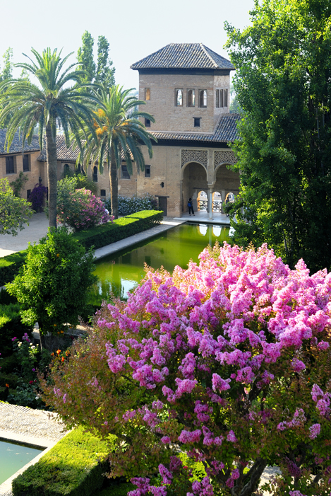 Bloemenpracht in het Alhambra