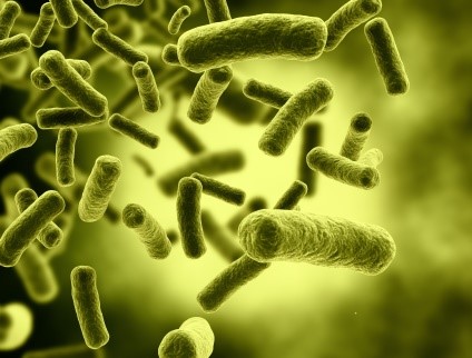 /123/Gezondheid/bacterie.jpg