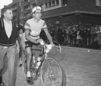 bahamontes2