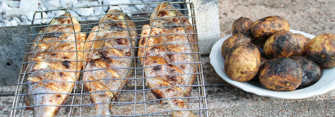 bbq4-1140