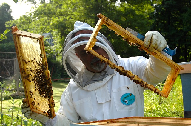 beekeeper-682943_640