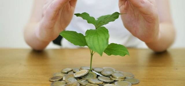 Plantje groeit tussen muntstukken, met twee handen beschermend erboven.