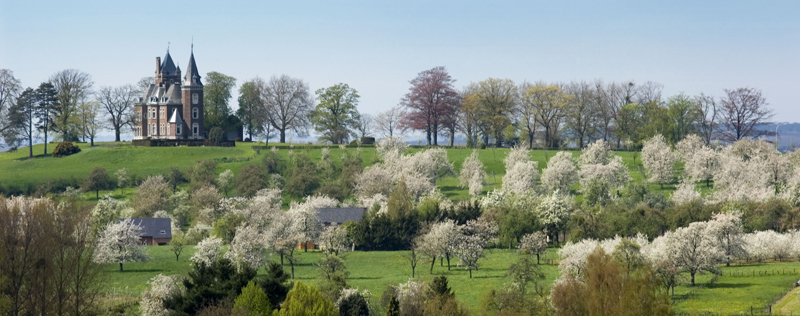 De bewegwijzerde wandelroutes brengen je op de mooiste plekjes. Bron: 'Toerisme Limburg'.