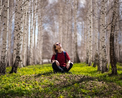 blur-branch-daylight-394545