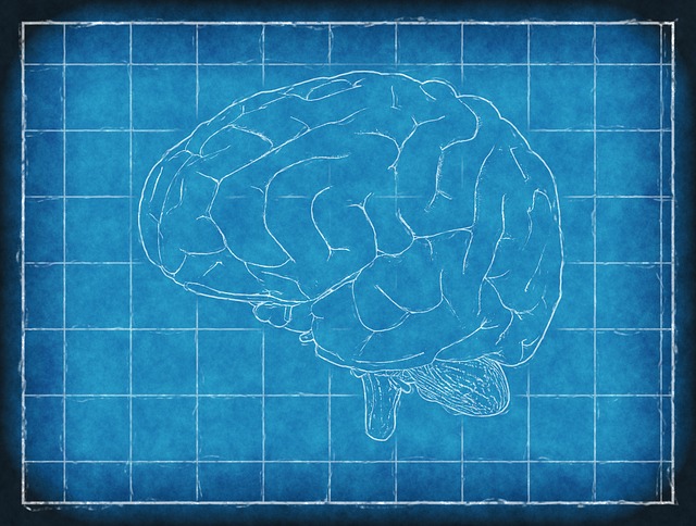 brain-1845941_640