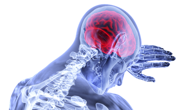 brain-3168269_640