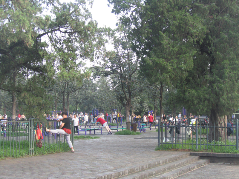 Fitness in het park.