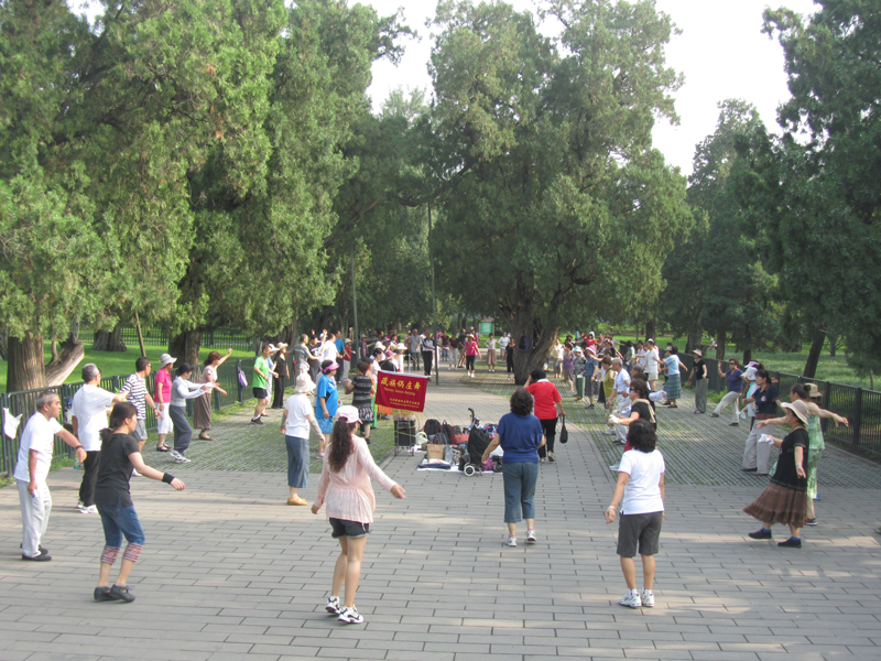 Iedereen in het park danst mee.
