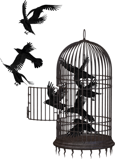 crow-2191180_640