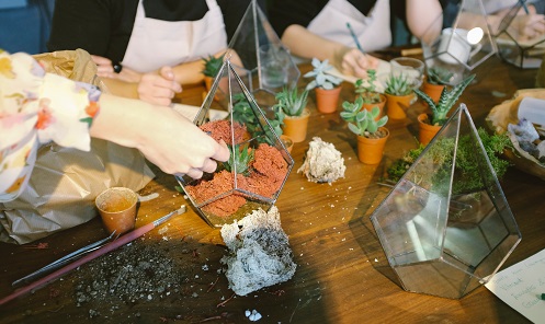 cursus-vetplant