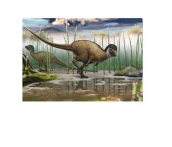 dino3