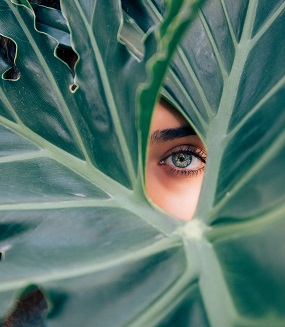 drew-graham-327935-unsplash (1)