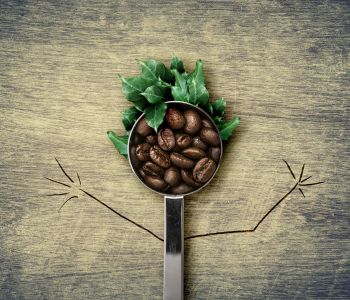 espresso2