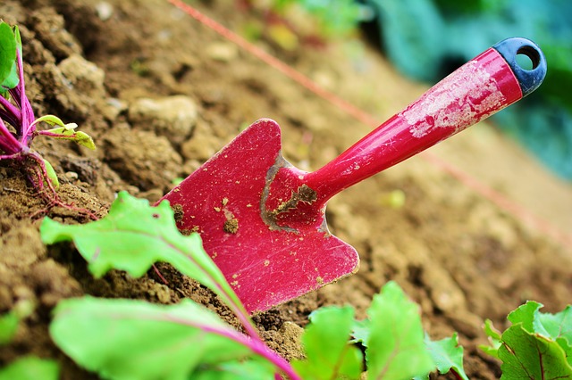gardening-2448134_640