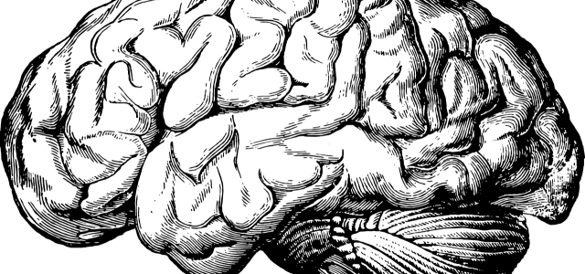 geheugen3-640