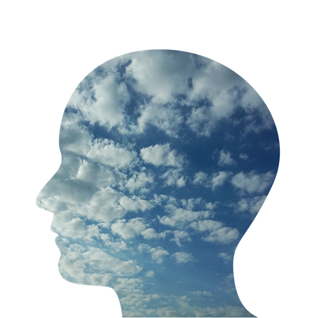 head-2379686_640 (1)