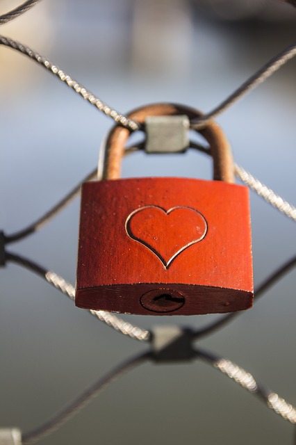 heart-268151_640