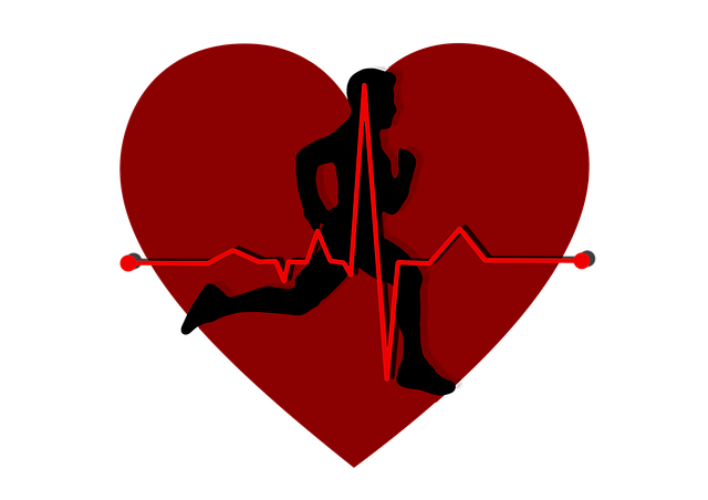 heart-2970130_640