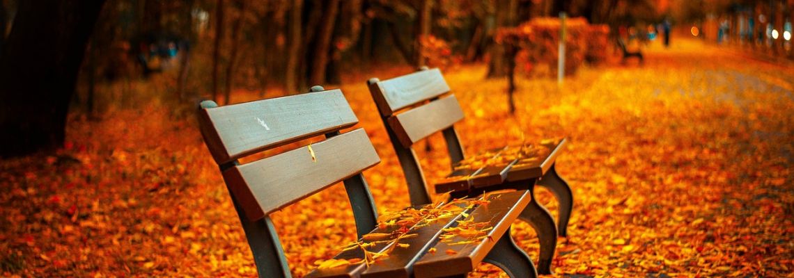herfst1-1140