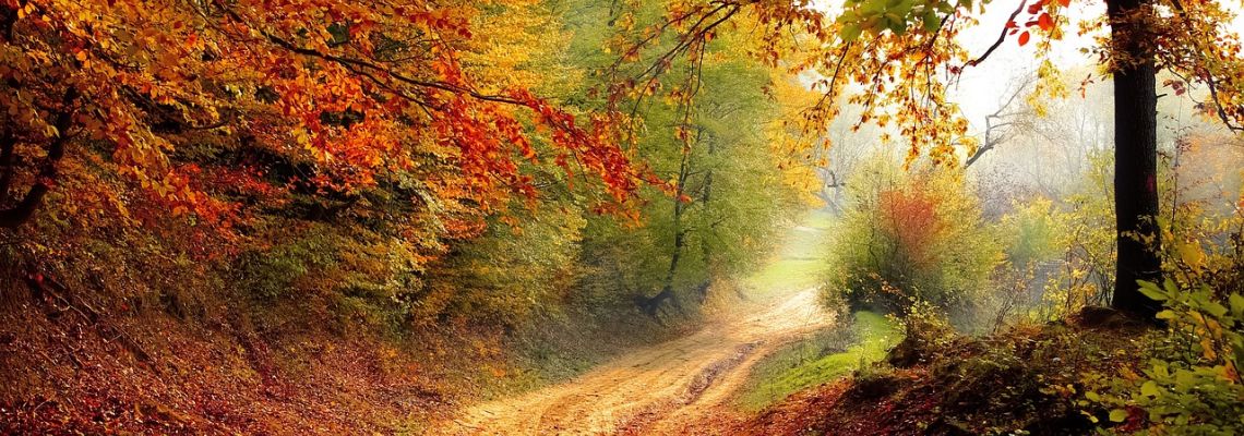 herfst1-1140
