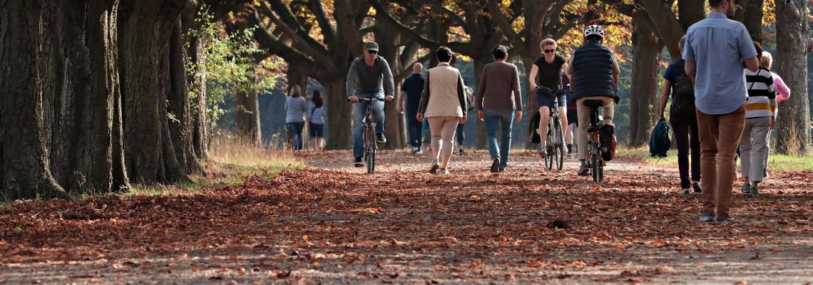 Wandelaars en fietsers op een breed bospad met afgevallen bladeren.