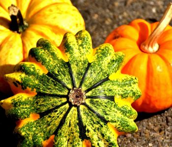 herfst3