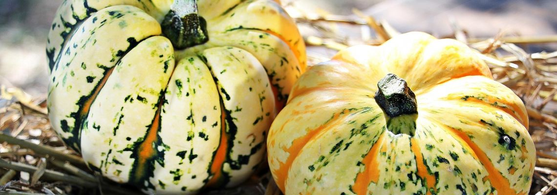 herfst4-1140