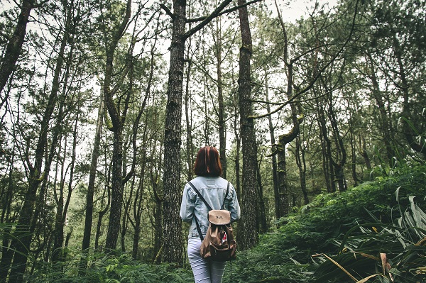 ib-wira-dyatmika-115366-unsplash