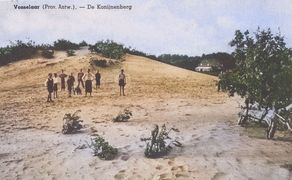 konijnenberg2.jpg