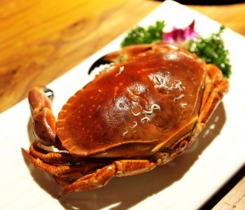 krab2