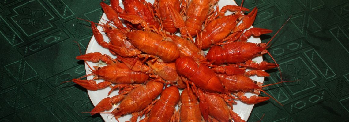 langoustine4-1140