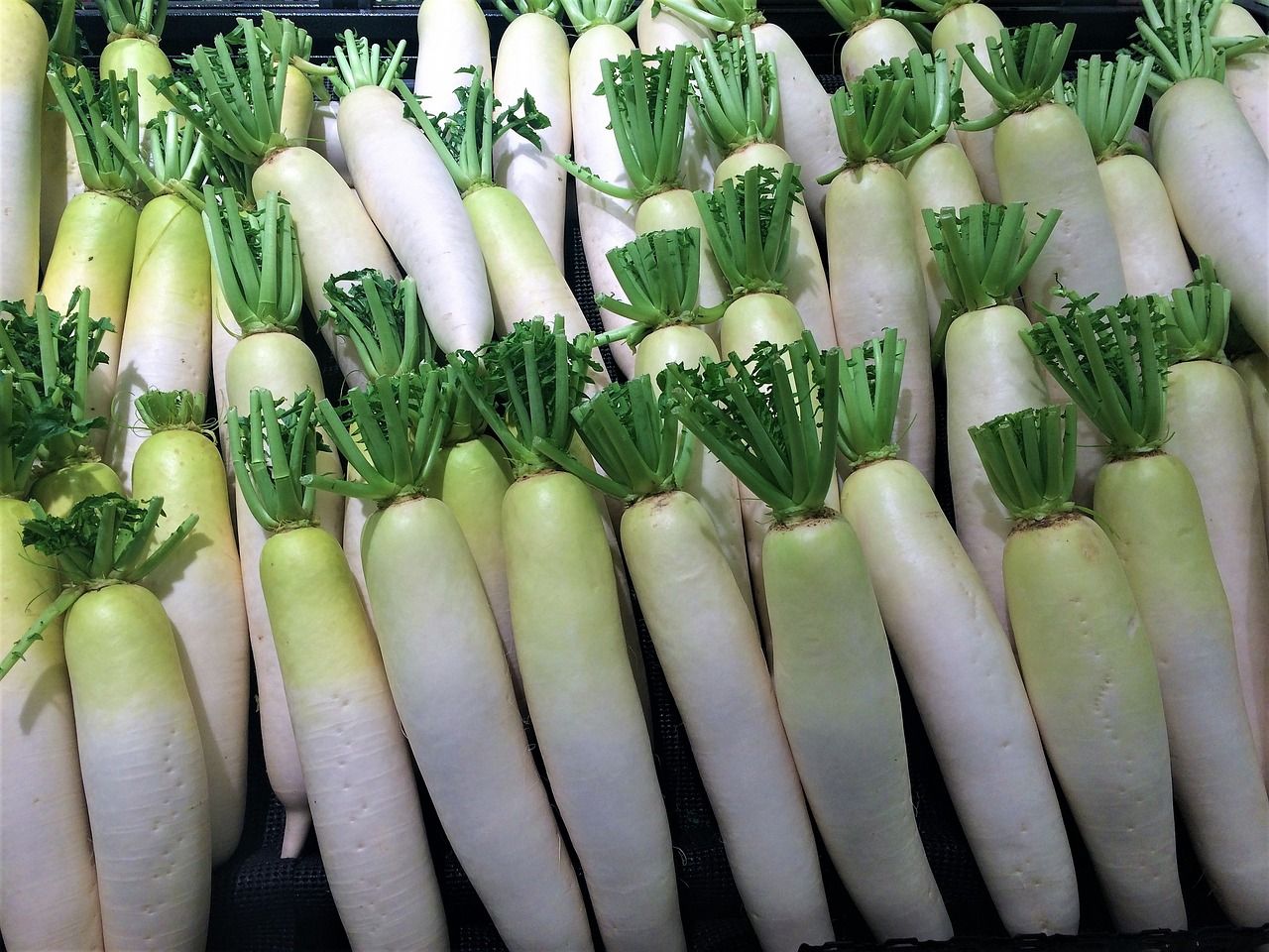 Witte rammenassen met korte groene stelen liggen naast elkaar uitgestald.