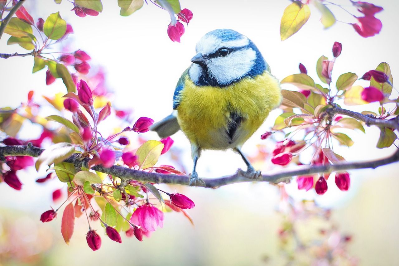 lente1.jpg
