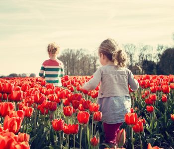 lente3