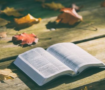 lezen2