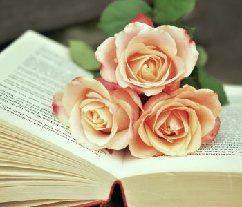 lezen4