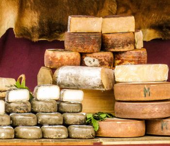 manchego