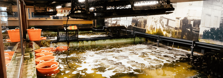 Grote waterbakken met bruisend water, oranje emmers en zwarte manden in een binnenruimte.